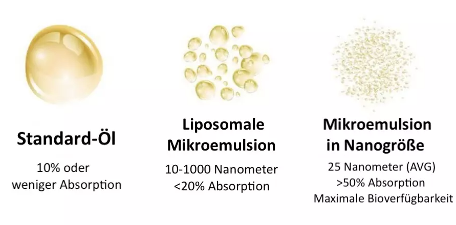 Klassische CBD Öle vs wasserlösliches CBD